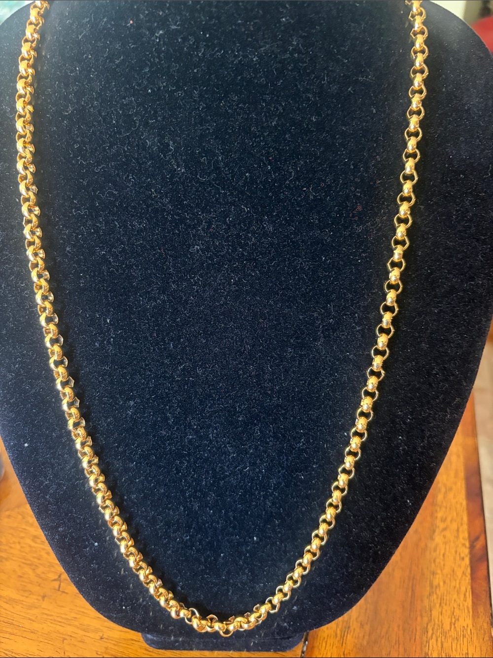 Monet Gold-Tone Womens Chain Necklace - Classic Rope Link
